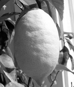 Иллюстрация к книге — Как восстановить фигуру после родов [_61.jpg]