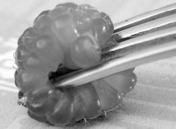 Иллюстрация к книге — Как восстановить фигуру после родов [_81.jpg]