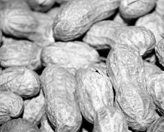 Иллюстрация к книге — Как восстановить фигуру после родов [_87.jpg]