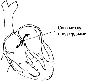 Иллюстрация к книге — Стоп-инфаркт. Как читать ЭКГ и заботиться о сердце [autogen_ebook_id16.jpg]