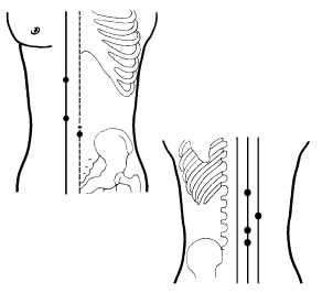 Иллюстрация к книге — Целлюлит? Не проблема! [i_076.jpg]
