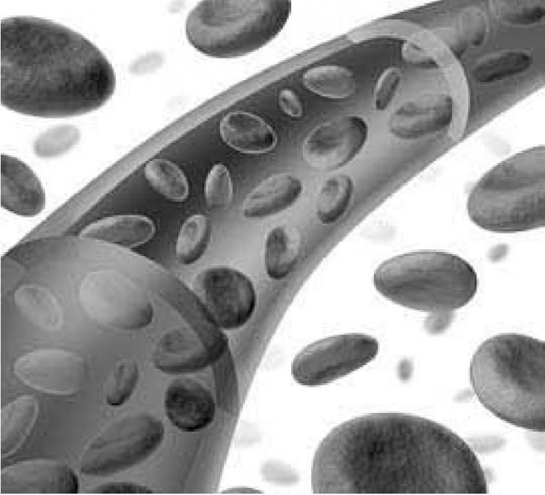 Иллюстрация к книге — Чистки организма. Лучшие методики [i_009.jpg]