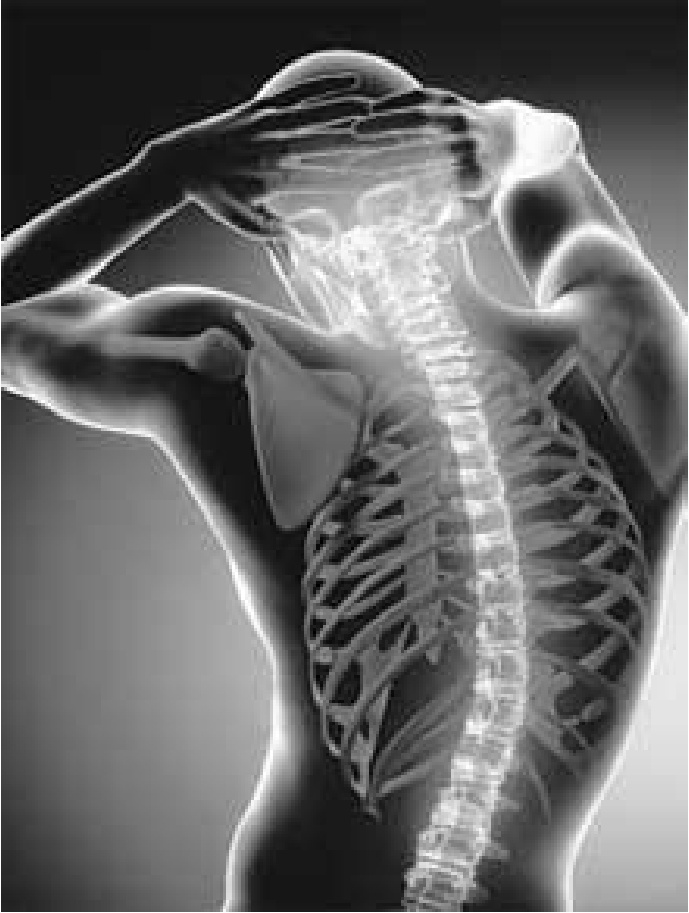 Иллюстрация к книге — Чистки организма. Лучшие методики [i_010.jpg]