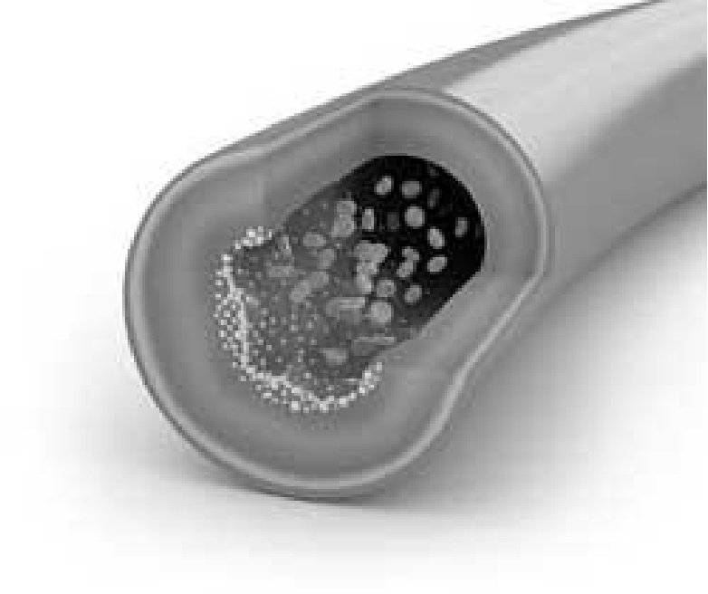 Иллюстрация к книге — Чистки организма. Лучшие методики [i_011.jpg]