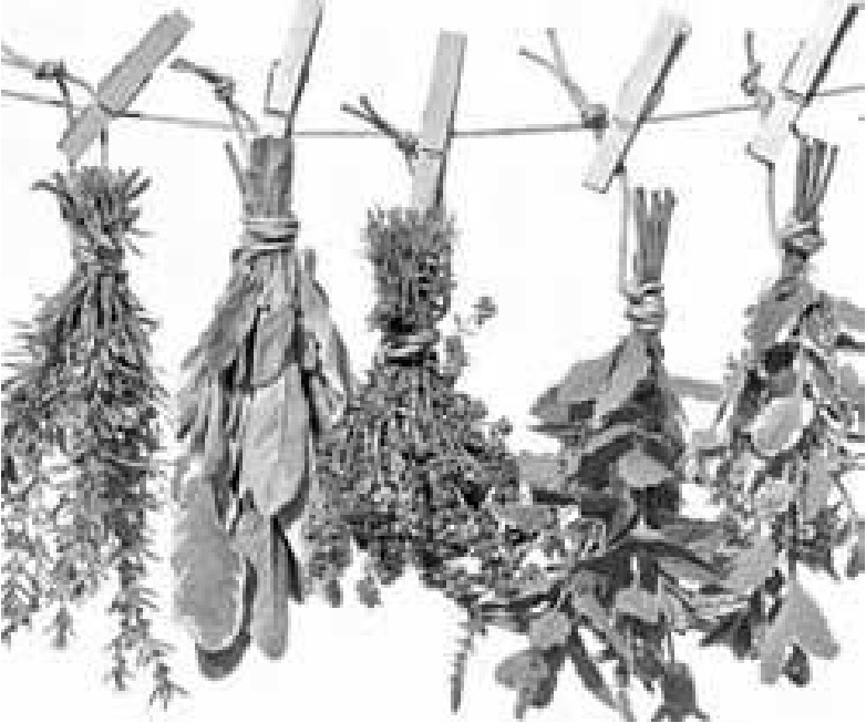 Иллюстрация к книге — Чистки организма. Лучшие методики [i_021.jpg]