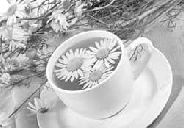 Иллюстрация к книге — Чистки организма. Лучшие методики [i_024.jpg]