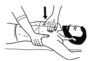 Иллюстрация к книге — Бронхи и легкие. Советы и рекомендации ведущих врачей [_193.jpg]