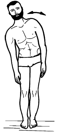 Иллюстрация к книге — Бронхи и легкие. Советы и рекомендации ведущих врачей [_208_2.jpg]