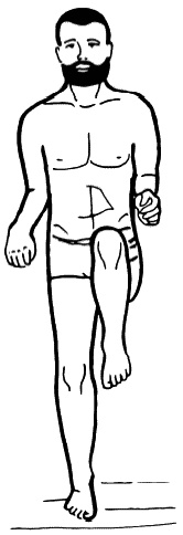 Иллюстрация к книге — Бронхи и легкие. Советы и рекомендации ведущих врачей [_209_2.jpg]