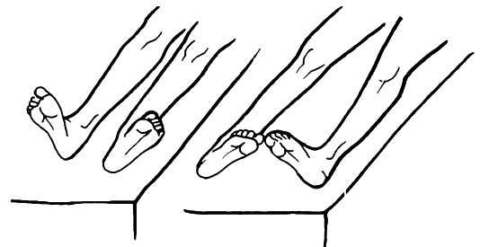 Иллюстрация к книге — Бронхи и легкие. Советы и рекомендации ведущих врачей [_217_2.jpg]