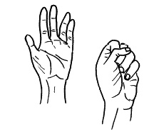 Иллюстрация к книге — Бронхи и легкие. Советы и рекомендации ведущих врачей [_218.jpg]