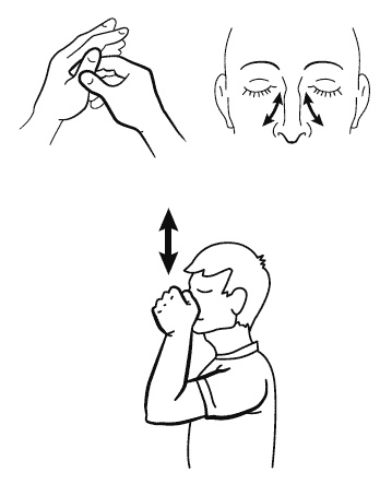 Иллюстрация к книге — Бронхи и легкие. Советы и рекомендации ведущих врачей [_237.jpg]