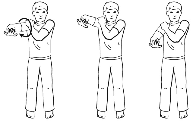 Иллюстрация к книге — Бронхи и легкие. Советы и рекомендации ведущих врачей [_239.jpg]