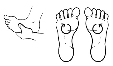 Иллюстрация к книге — Бронхи и легкие. Советы и рекомендации ведущих врачей [_239_2.jpg]