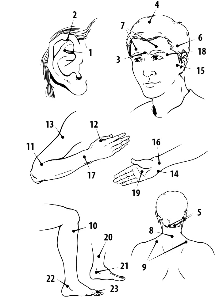 Иллюстрация к книге — Сердце и сосуды. Большая энциклопедия здоровья [_077.jpg]