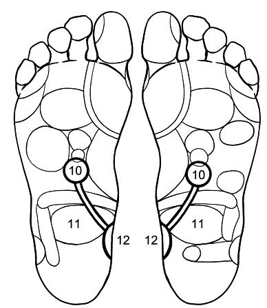 Иллюстрация к книге — Сердце и сосуды. Большая энциклопедия здоровья [_080.jpg]