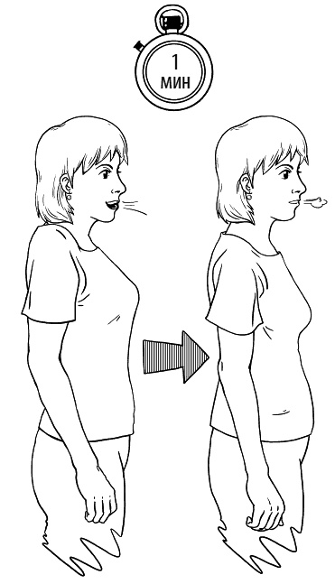 Иллюстрация к книге — Сердце и сосуды. Большая энциклопедия здоровья [_122.jpg]