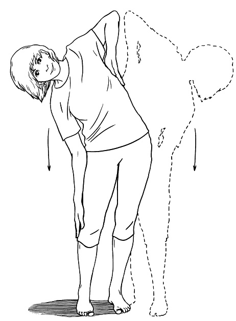 Иллюстрация к книге — Сердце и сосуды. Большая энциклопедия здоровья [_132.jpg]