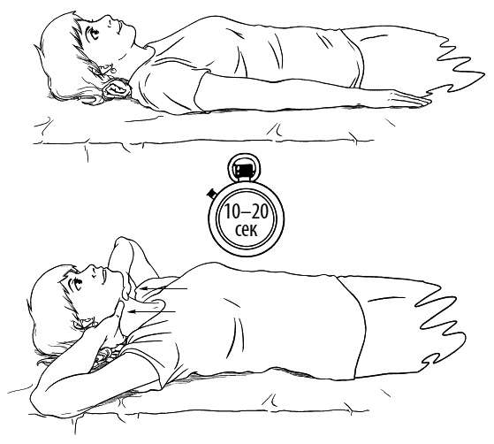 Иллюстрация к книге — Сердце и сосуды. Большая энциклопедия здоровья [_179.jpg]