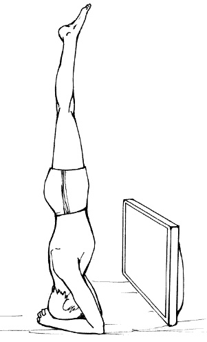 Иллюстрация к книге — Сердце и сосуды. Большая энциклопедия здоровья [_344.jpg]