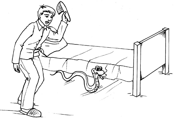 Иллюстрация к книге — Сердце и сосуды. Большая энциклопедия здоровья [_394.jpg]