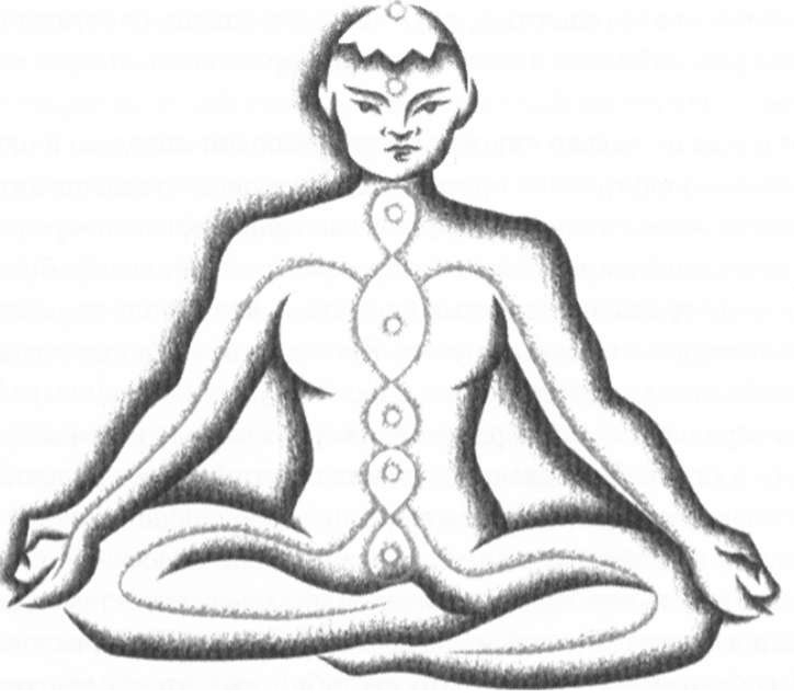 Иллюстрация к книге — Абсолютная красота. Сияющая кожа и внутренняя гармония. Древние тайны аюрведы [i_011.jpg]