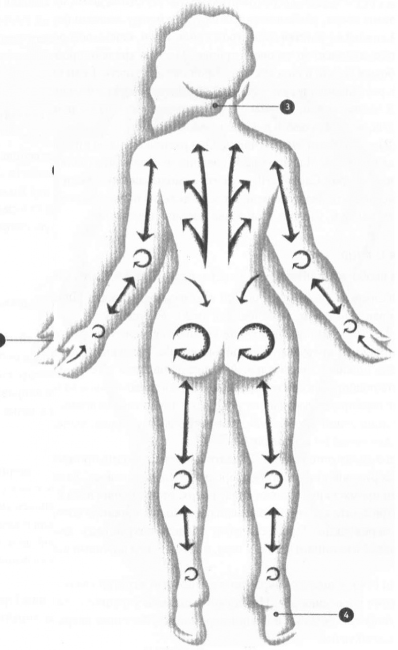 Иллюстрация к книге — Абсолютная красота. Сияющая кожа и внутренняя гармония. Древние тайны аюрведы [i_013.jpg]