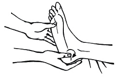 Иллюстрация к книге — 40+. Уход за телом [_261_2.jpg]