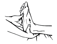 Иллюстрация к книге — 40+. Уход за телом [_262_1.jpg]