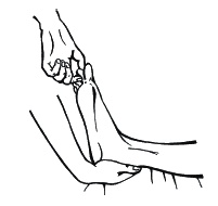 Иллюстрация к книге — 40+. Уход за телом [_264_1.jpg]