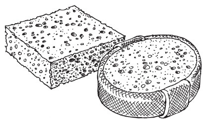 Иллюстрация к книге — 30+. Уход за телом [i_006.jpg]