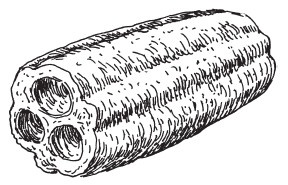 Иллюстрация к книге — 30+. Уход за телом [i_012.jpg]