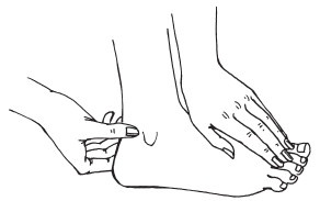 Иллюстрация к книге — 30+. Уход за телом [i_052.jpg]