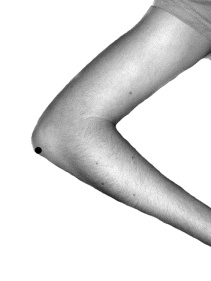 Иллюстрация к книге — Целительные точки для лечения щитовидной железы [autogen_ebook_id13.jpg]