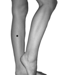 Иллюстрация к книге — Целительные точки для лечения щитовидной железы [autogen_ebook_id15.jpg]