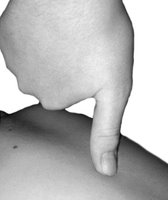 Иллюстрация к книге — Целительные точки для лечения щитовидной железы [autogen_ebook_id18.jpg]