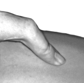 Иллюстрация к книге — Целительные точки для лечения щитовидной железы [autogen_ebook_id23.jpg]