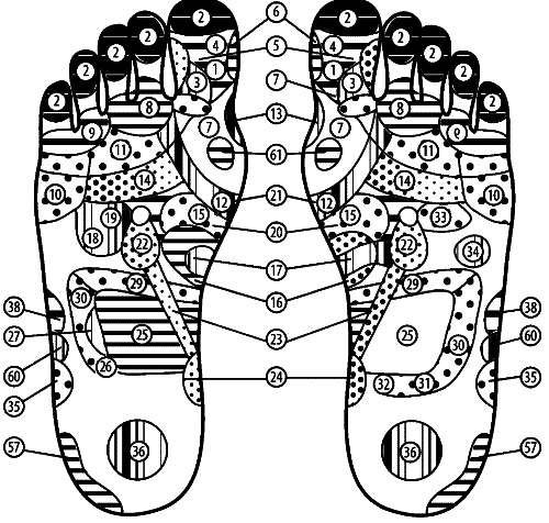 Иллюстрация к книге — Целительные точки для лечения щитовидной железы [autogen_ebook_id26.jpg]