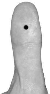 Иллюстрация к книге — Целительные точки для лечения щитовидной железы [autogen_ebook_id30.jpg]