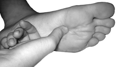 Иллюстрация к книге — Целительные точки для лечения щитовидной железы [autogen_ebook_id34.jpg]