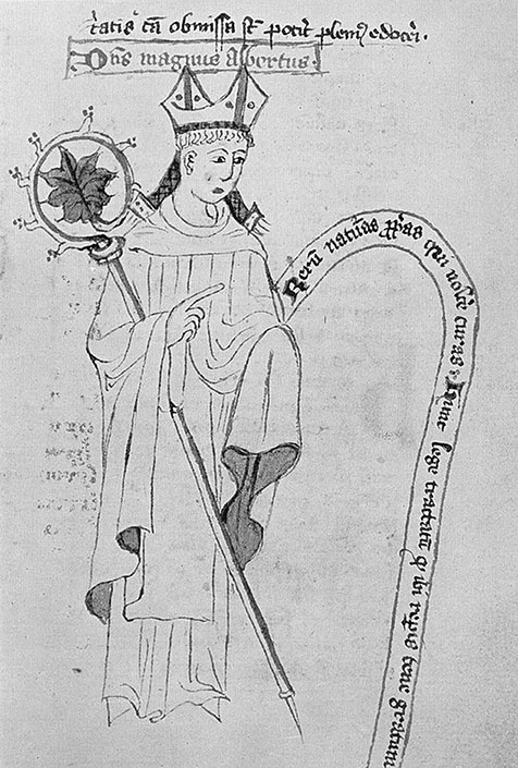 Иллюстрация к книге — История Германии [i_046.jpg]