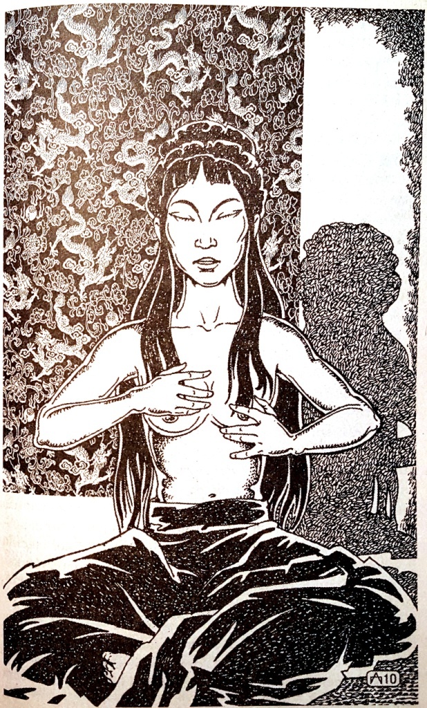 Иллюстрация к книге — Отчаянная тигрица [i_002.jpg]