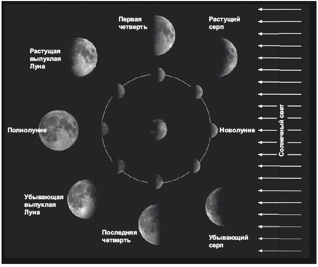 Иллюстрация к книге — Большое космическое путешествие [i_004.jpg]