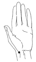 Иллюстрация к книге — Лечебный самомассаж. Основные техники [i_023.jpg]