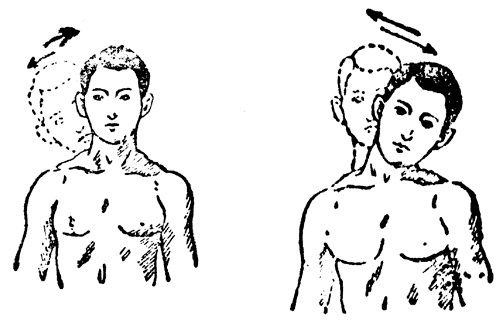 Иллюстрация к книге — Живые капилляры: Важнейший фактор здоровья! Методики Залманова, Ниши, Гогулан [_0482.jpg]