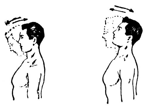 Иллюстрация к книге — Живые капилляры: Важнейший фактор здоровья! Методики Залманова, Ниши, Гогулан [_0483.jpg]