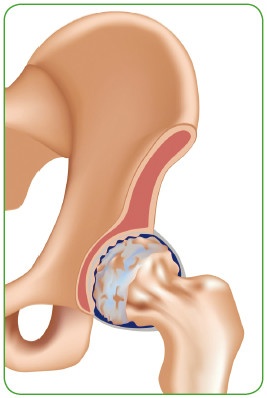 Иллюстрация к книге — Энциклопедия диагностики и лечения от А до Я [i_027.jpg]