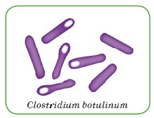 Иллюстрация к книге — Энциклопедия диагностики и лечения от А до Я [i_047.jpg]