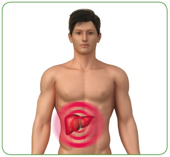 Иллюстрация к книге — Энциклопедия диагностики и лечения от А до Я [i_072.jpg]