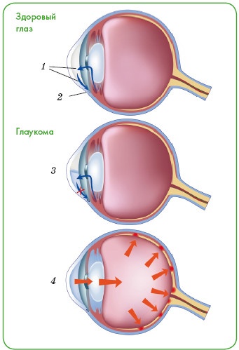 Иллюстрация к книге — Энциклопедия диагностики и лечения от А до Я [i_082.jpg]